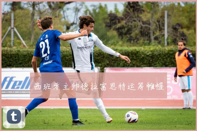 西班牙主帅德拉富恩特运筹帷幄